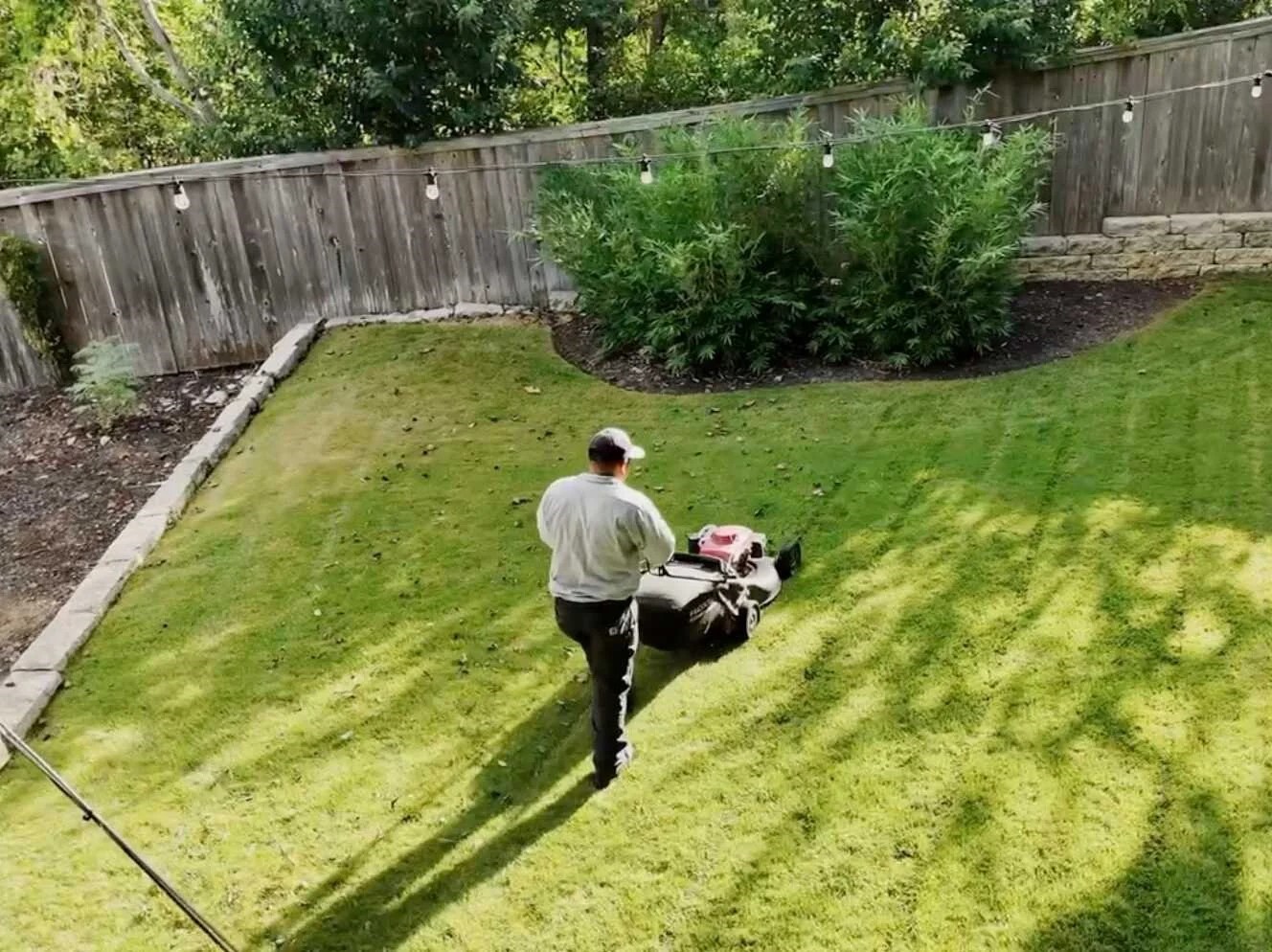 Bolawn Landscaping Project in Suisun City