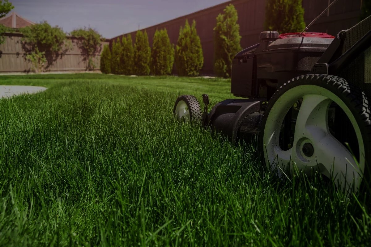 Landscaping Projects