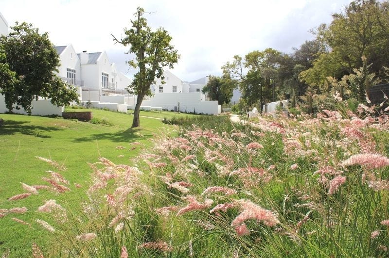 Commercial Landscaping Solano County